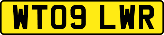 WT09LWR