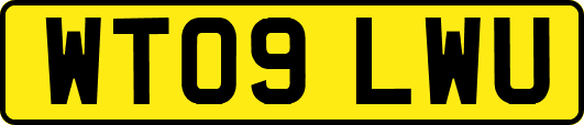 WT09LWU