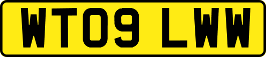 WT09LWW
