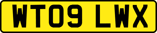WT09LWX