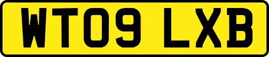 WT09LXB