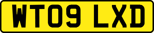 WT09LXD