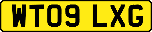 WT09LXG