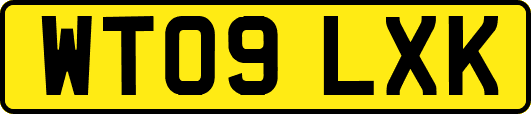 WT09LXK