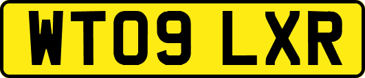 WT09LXR
