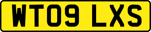 WT09LXS