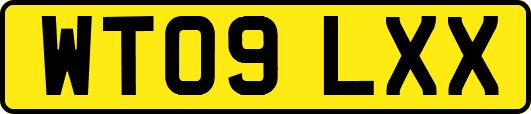 WT09LXX