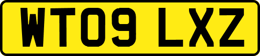 WT09LXZ