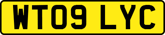 WT09LYC