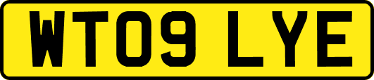 WT09LYE