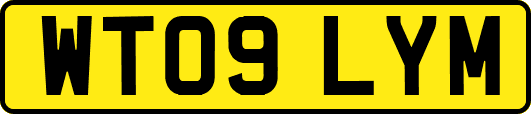 WT09LYM