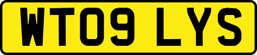 WT09LYS