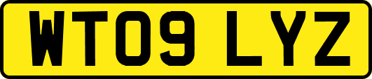 WT09LYZ