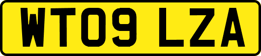 WT09LZA