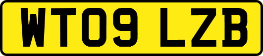 WT09LZB