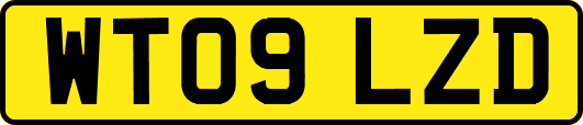WT09LZD