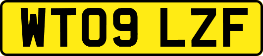 WT09LZF