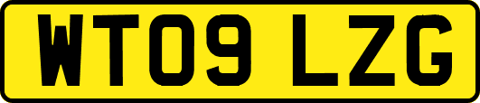 WT09LZG