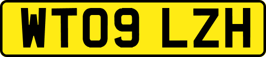 WT09LZH