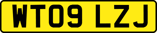 WT09LZJ