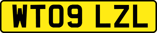 WT09LZL