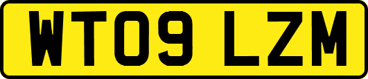 WT09LZM