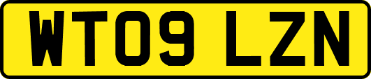 WT09LZN