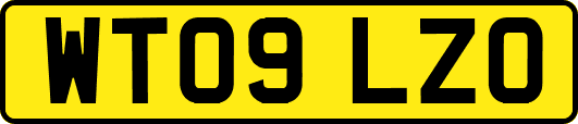 WT09LZO