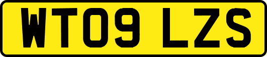 WT09LZS