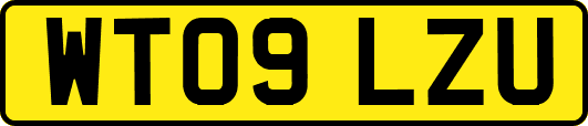 WT09LZU