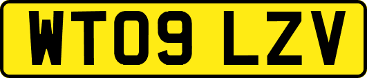 WT09LZV