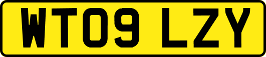 WT09LZY