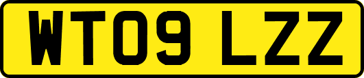 WT09LZZ