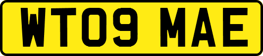 WT09MAE