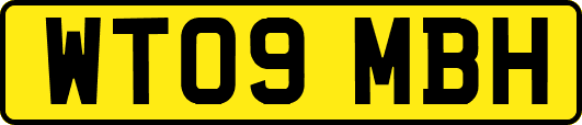 WT09MBH