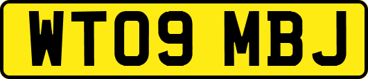 WT09MBJ