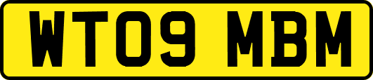 WT09MBM