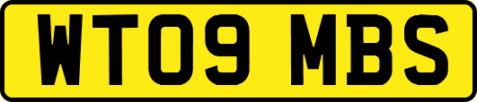 WT09MBS
