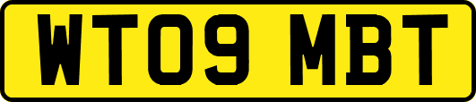 WT09MBT