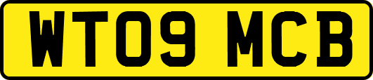 WT09MCB