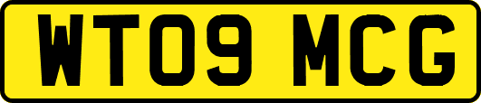 WT09MCG