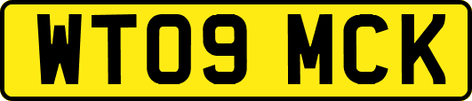 WT09MCK