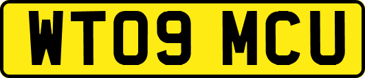 WT09MCU