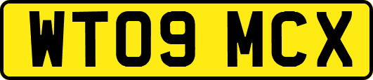 WT09MCX