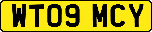 WT09MCY