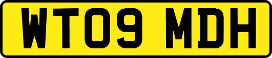 WT09MDH