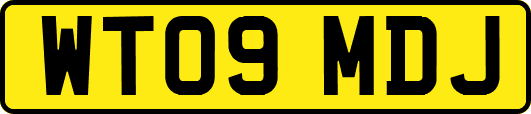 WT09MDJ