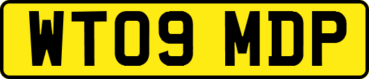 WT09MDP
