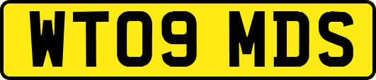WT09MDS