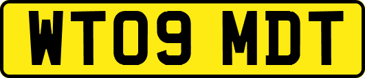 WT09MDT
